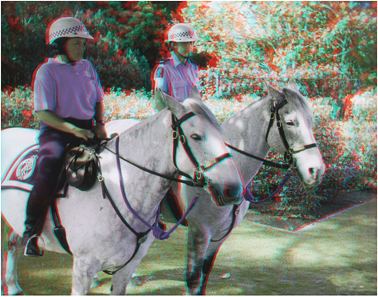 Mounted Police in the Rose Garden. Te Awamutu New Zealand. 3-D Photography by Marc Dawson.