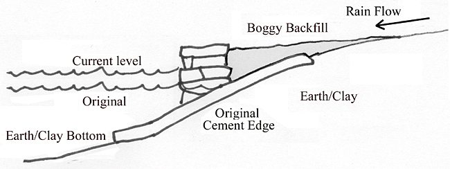 The Cause of Boggy Lake Edge