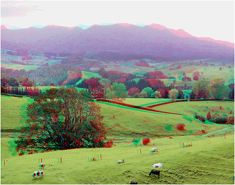 Hypersteroscopic view of Mount Pirongia from Parihoro Road Otorahanga New Zealand. Digital 3-D Photography by Marc Dawson.